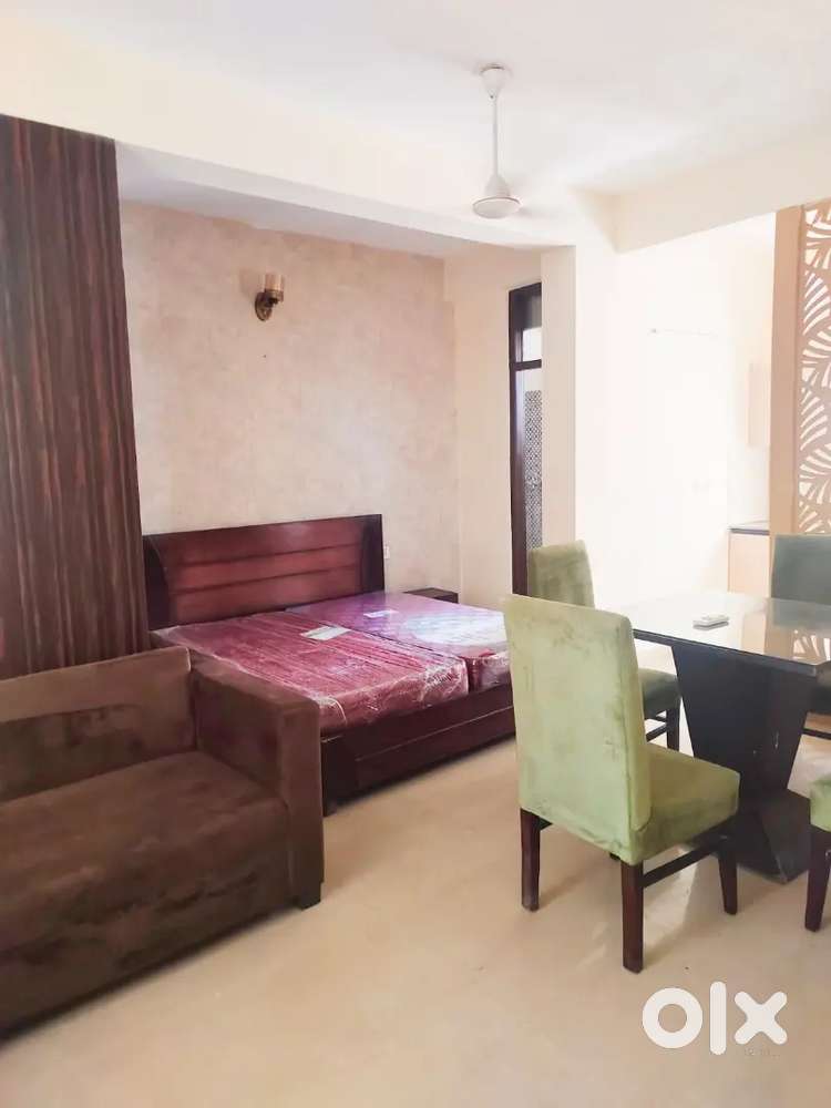 Owner free one bhk Apartment sec 20 panchkula