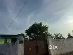 1 Katha 5 Lessa Miyadi land. at Bangora immediate for sale