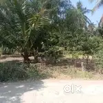 13 cents housing land available for sale near Paampanvilai