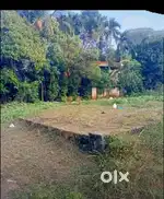Plot for sale