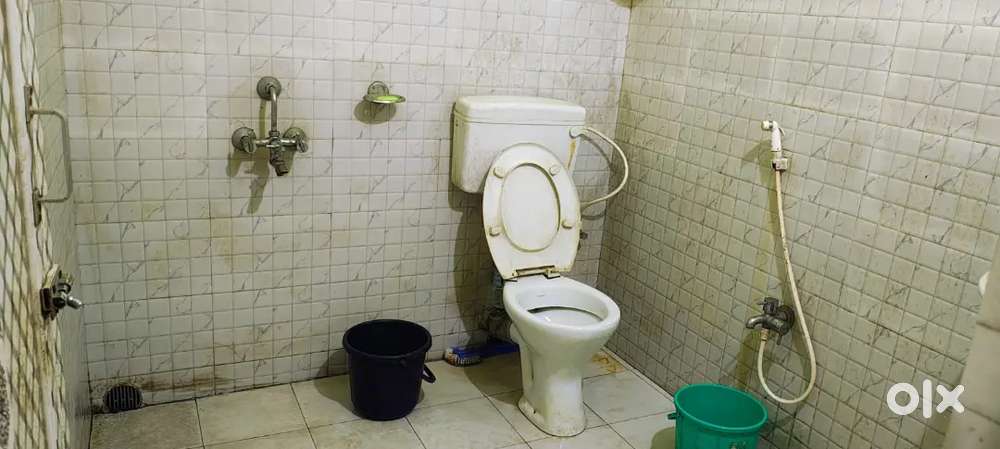 Roommate required
