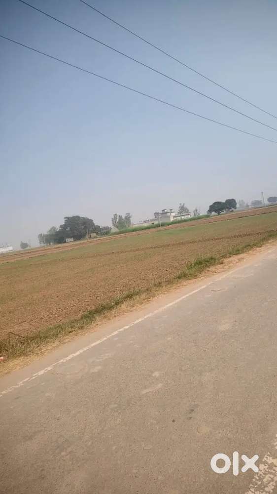 Plat chahida aman bagh green park or near ghuman Nagar 20 lakh