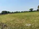 Agriculture land for sale