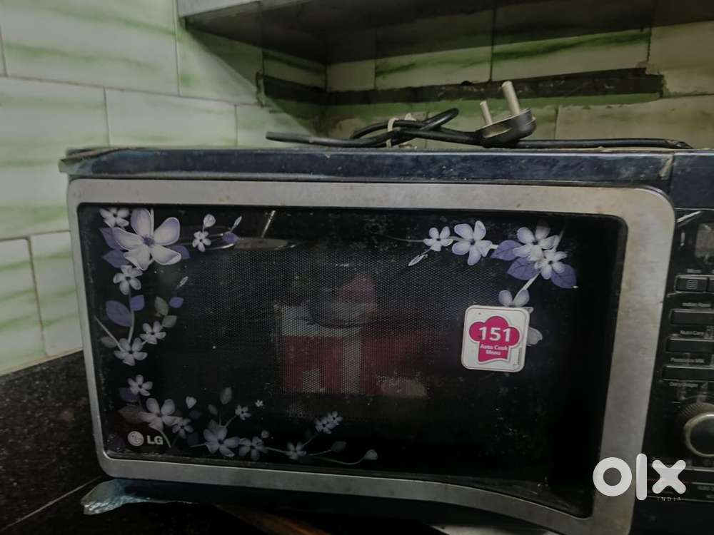 Electric oven