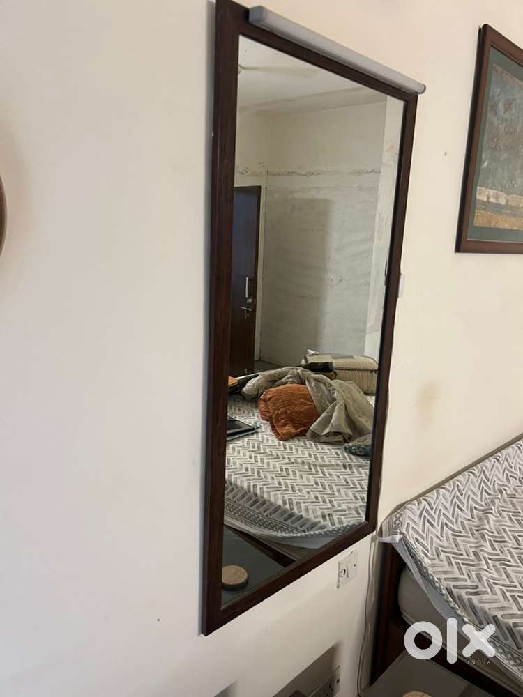 26x50” Wooden finish Frame Wall Mirror with Built-in Light – Premium