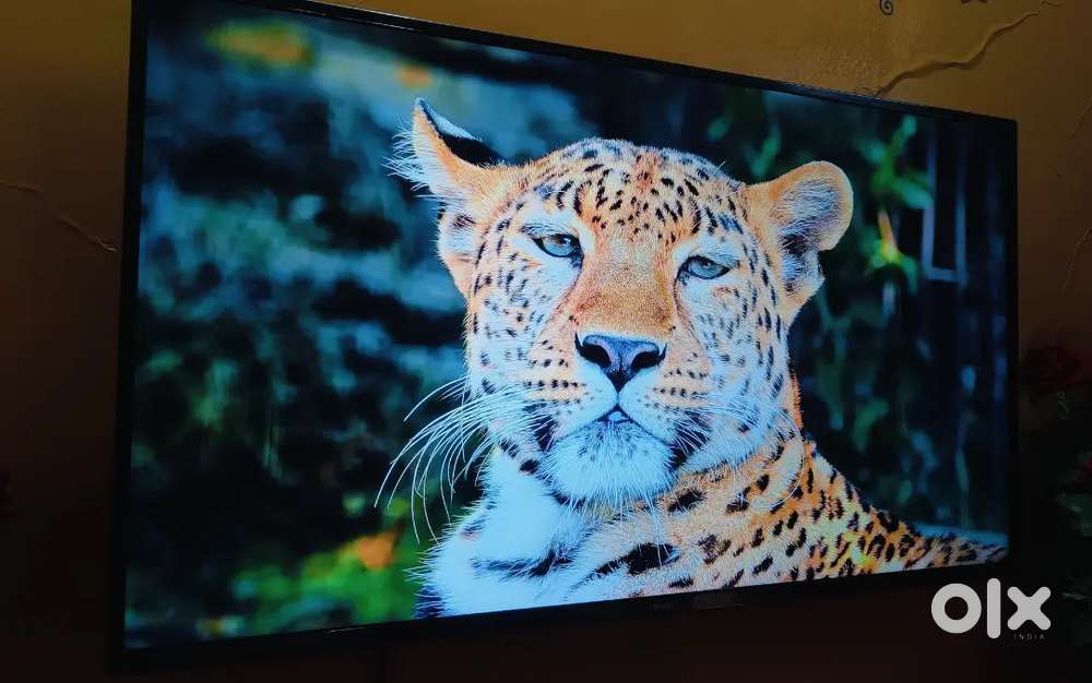 Mi Tv 4k 43 inch