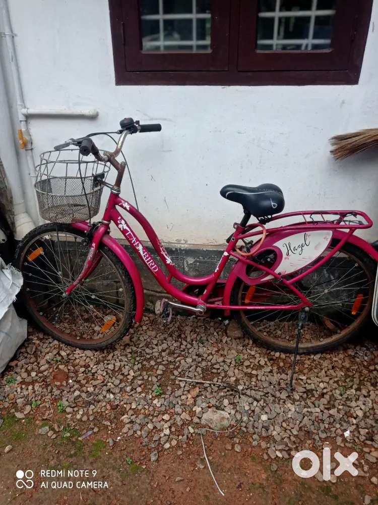 Lady Bird cycle for selling