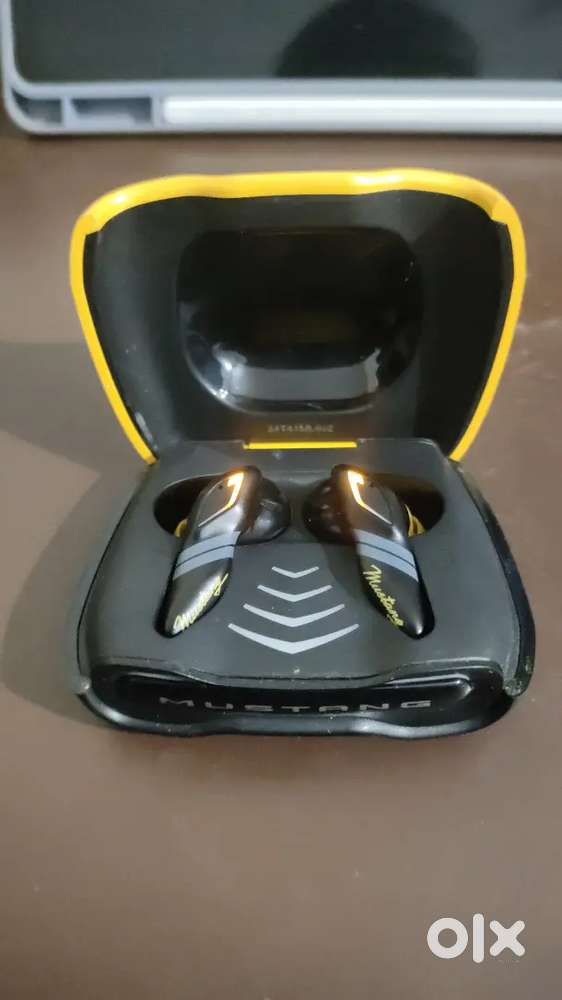 Boult Audio Earbuds MUSTANG