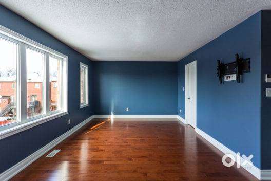 House and Apartment Painting