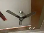 fan standard brand
