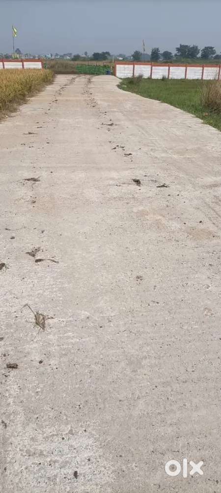 Residential plot Sale