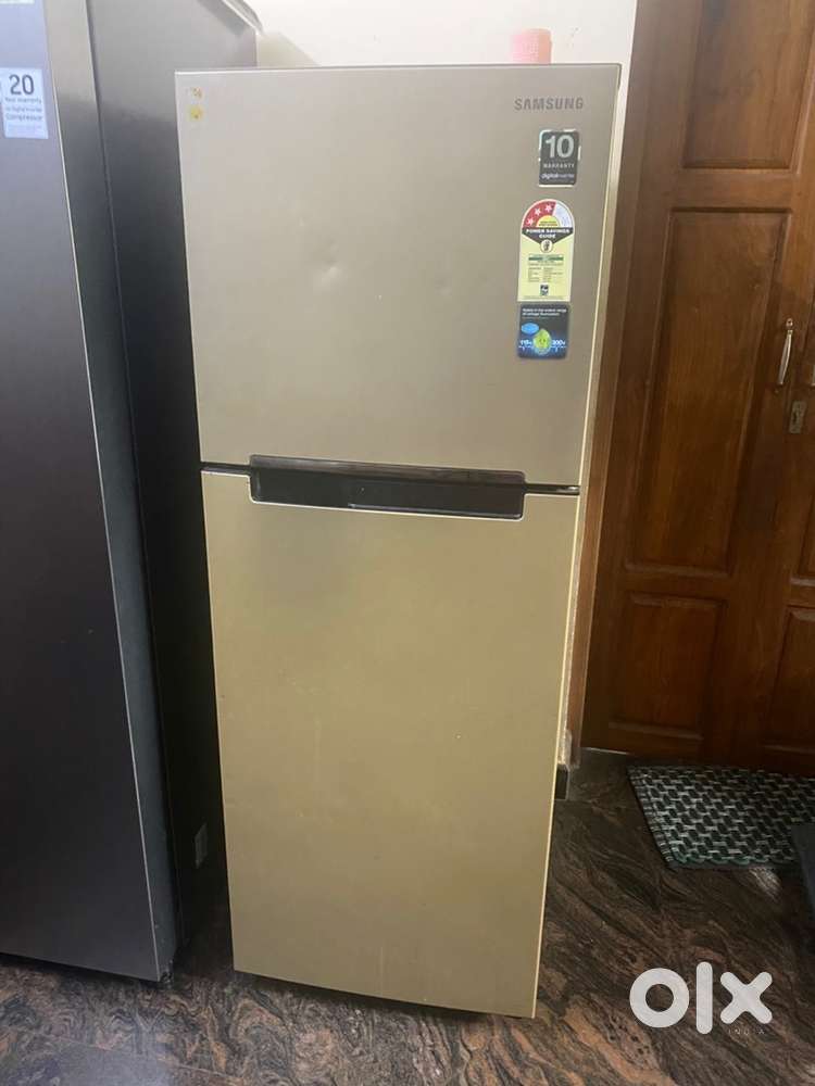 Samsung 253L, Double Door Fridge