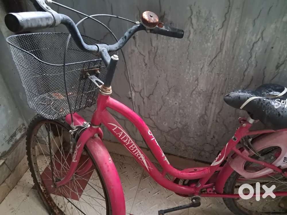 Ladies pink bicycle 22