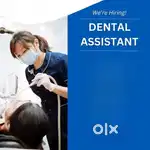 Wanted Dental Clinic Assistant