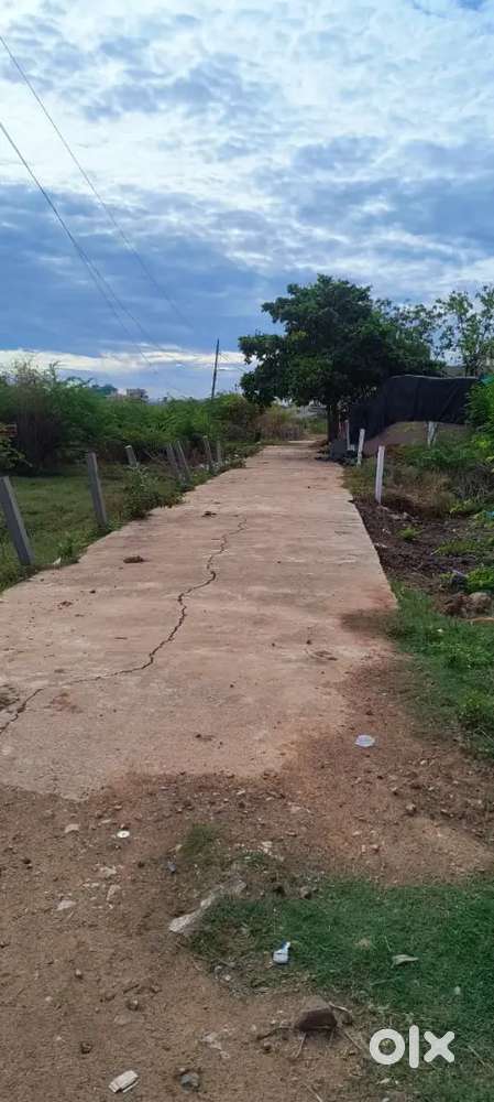 (3.700 cents links. )This. Land back and lift side houses available