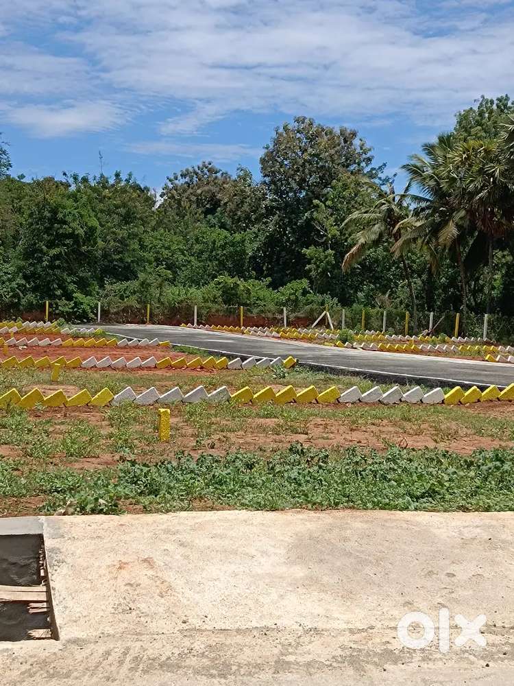 3/4 Cent DTCP Approved Housing Plot for Sale Near Konam Paruthivilai