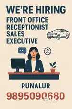 Sales Executive