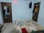 Need Room Partner Bachlor