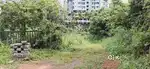 24 CENT HOUSE PLOT NEAR KAKKANAD KOLLAMKUDIMUGAL