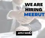 Meerut remote business developer
