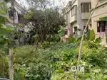 3 kattah 2 chatak land 12 ft wide road facing sell in Birati