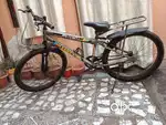 1 year old cycle