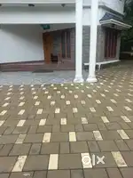 House for rent and sale