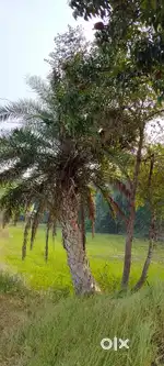 LAND FOR SALE AT SONARPUR AREA.