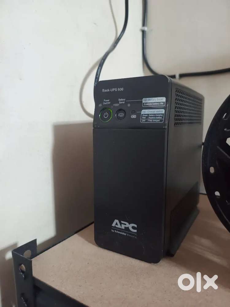 One day old UPS