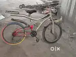 Hi this is my cycle