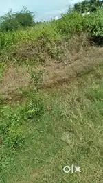 Land for sale north facing land near collector office