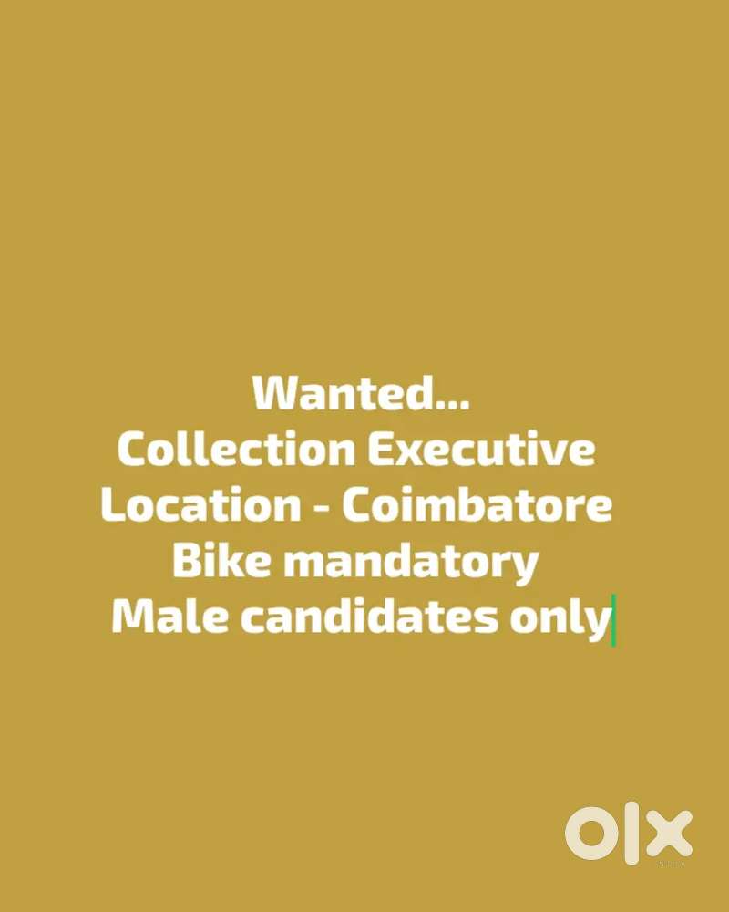 Collection Executive