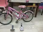 Cycle and scooter