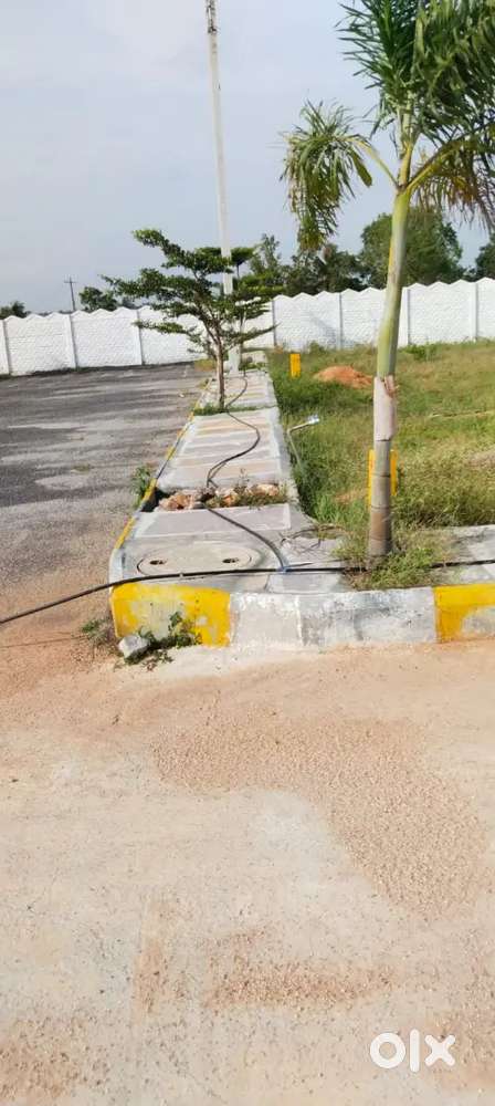 Investor Plots for Immediate Sale,Lowest Rates,Limited Plots Available