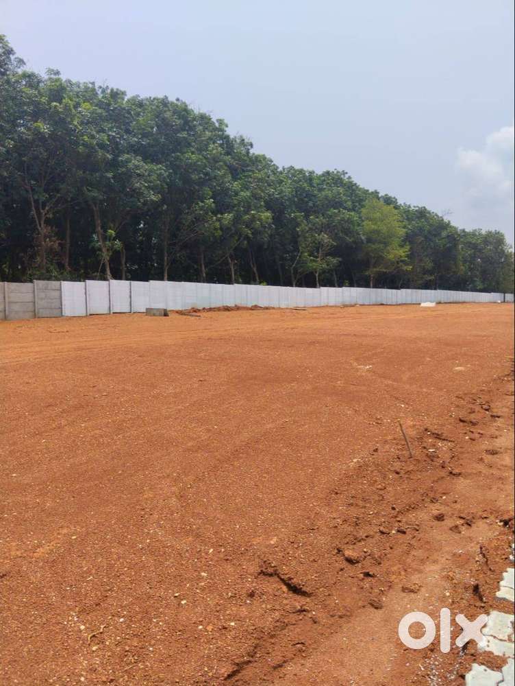 Residential House Plot for sale in Kallekad near ottapalam highway.