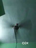 Celling fan