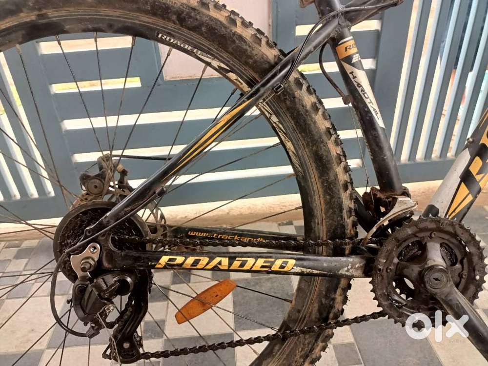 Flx model, aluminium body of cycle,gare bicycle