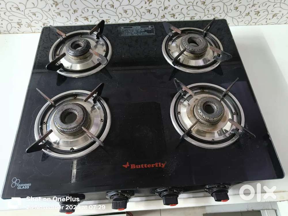 Butterfly 4 bornel stove