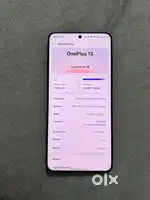 OnePlus 13 12/256
