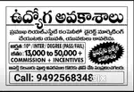 Sales Manager