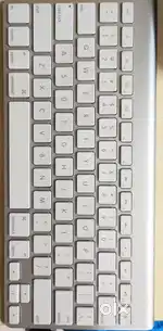 Apple magic keyboard + Apple Mouse Wireless