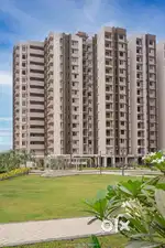 Favrit like projects good lokason
