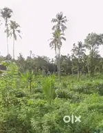Land for sale in Mannoor, near Anchal