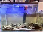 Fish aqurium tank brand new 4 months old