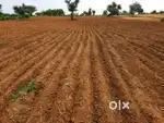 Agriculture land 4 acre