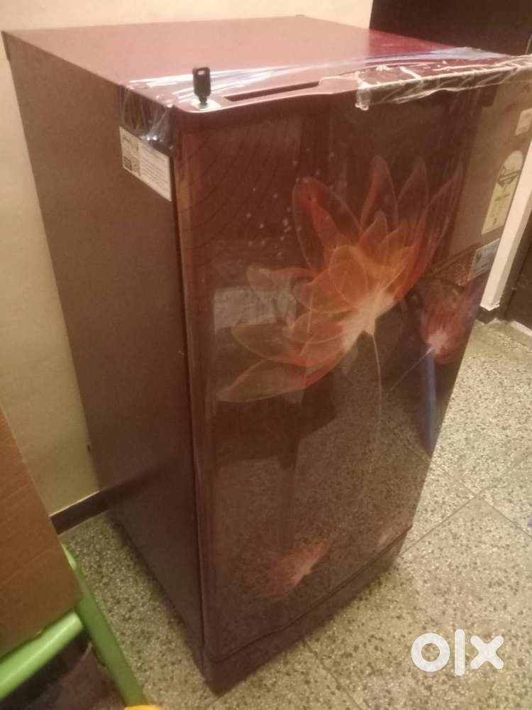 GODREJ REFRIGERATOR 185 ltrs & SUNFLAME GAS BURNER (with original box)