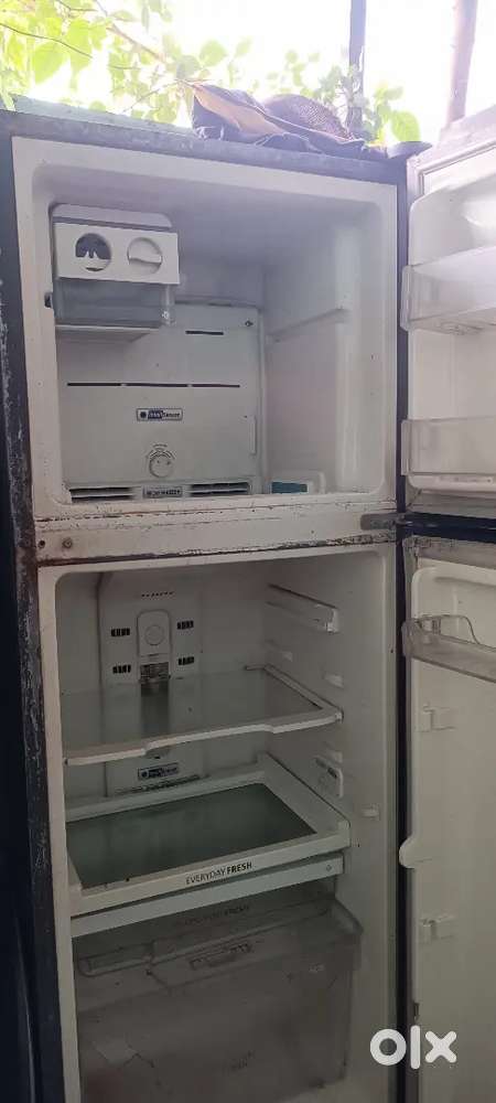 Whirlpool Double Door 341 ltr refrigerator