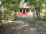 Plot for sale