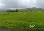 238 var plot kala nagar