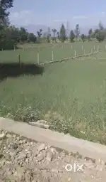 Residential Plot for Sale at Selaqui Dehradun